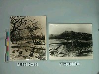 藏品(大連之冬)的圖片